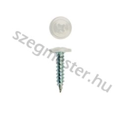   Laposfejű lemezcsavar (Opelcsavar) 4,2x19mm, önmetsző, RAL9002